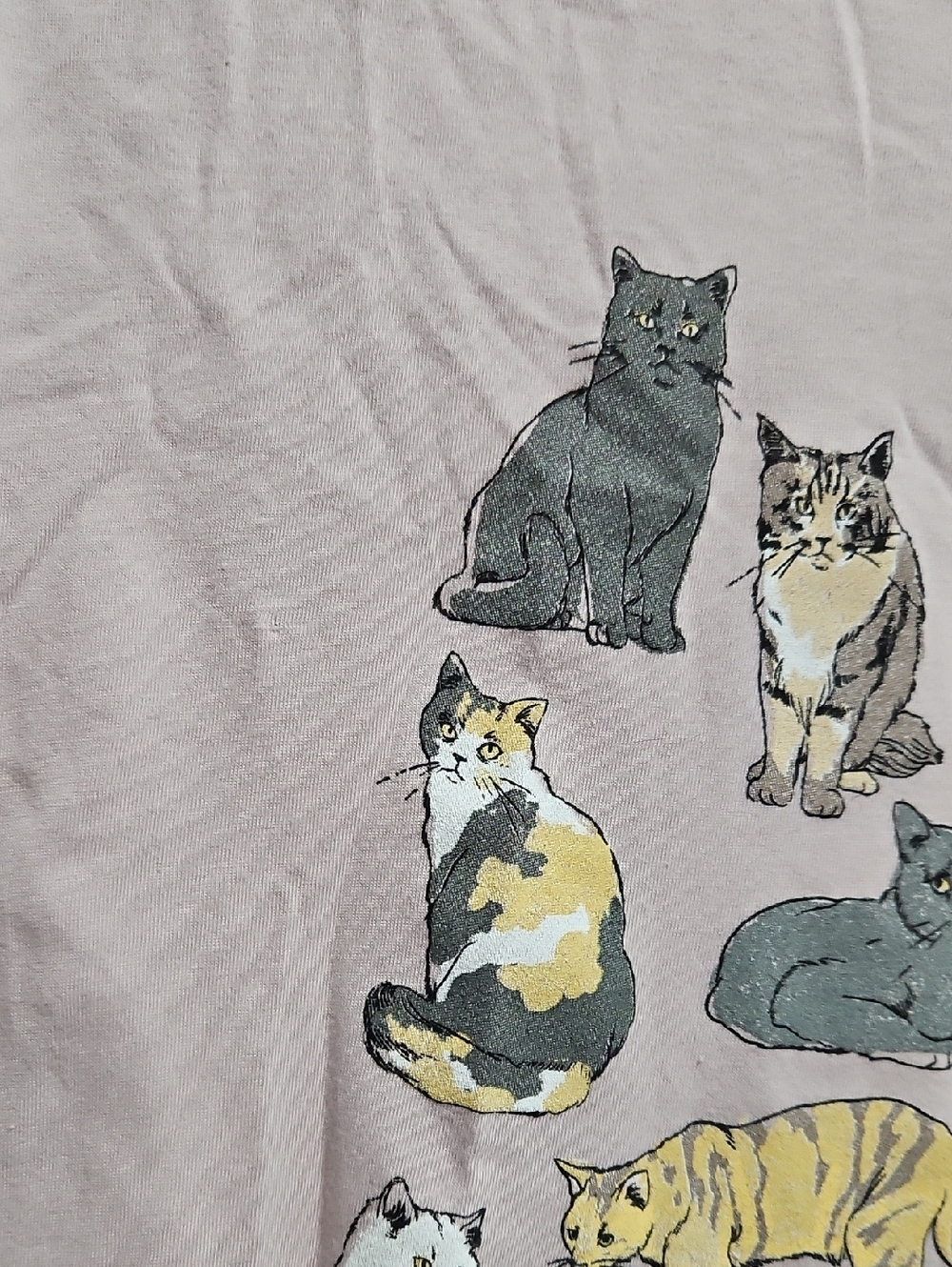 Cat Graphic Tee - Picture 3 of 8